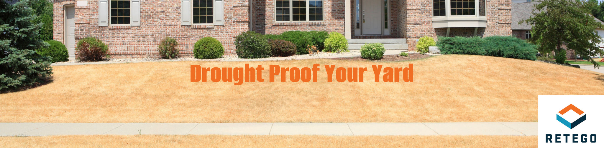 Drought Proof Your Yard