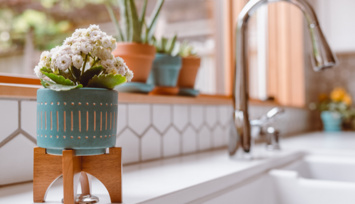 Healthy Water is Essential for a Healthy Building